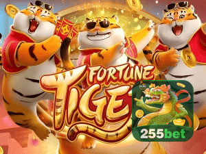 Guia install APK 255BET BR