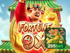 255BET login — painel de entrada no app oficial